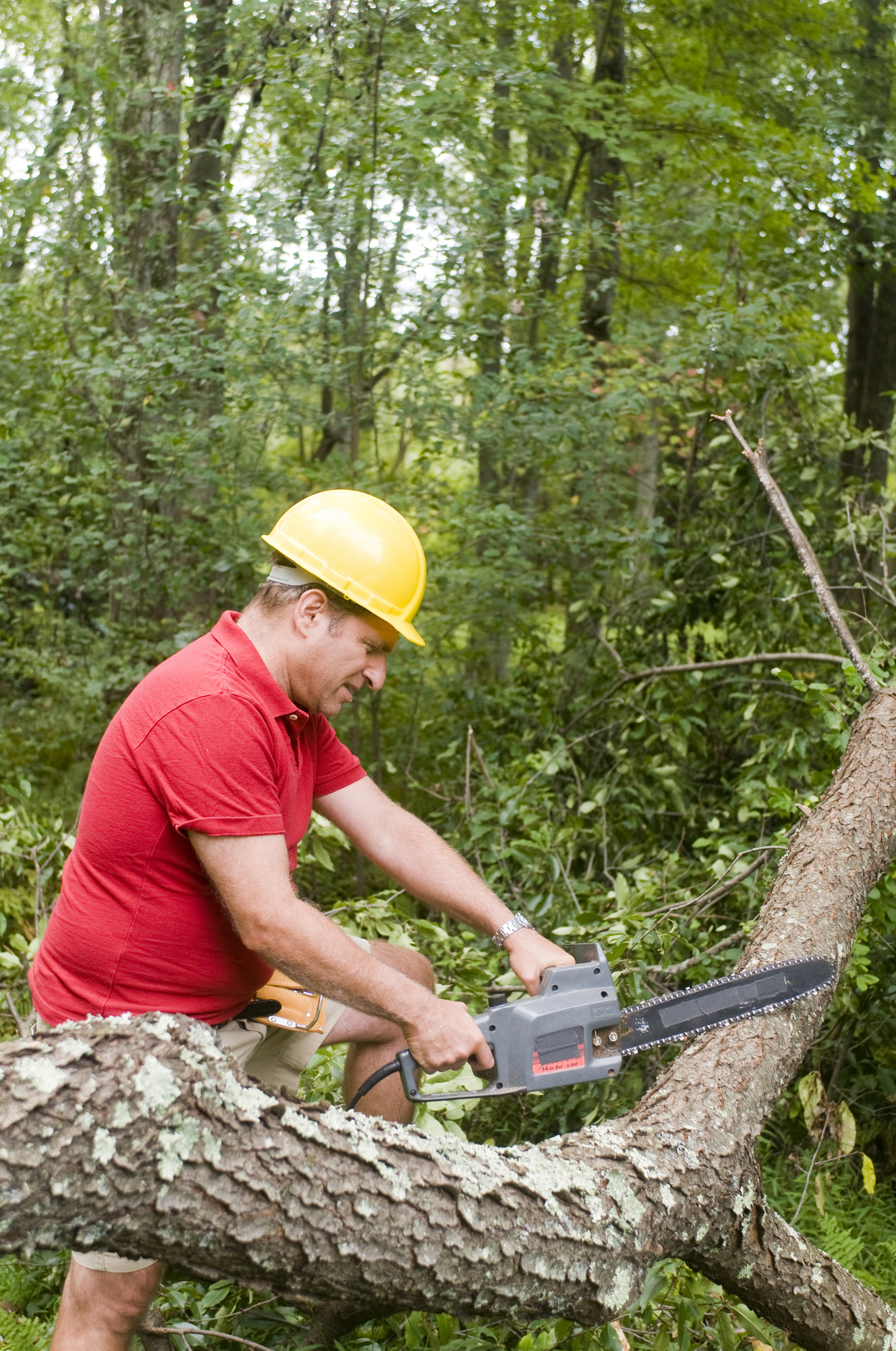 arborist tree surgeon using chainsaw to perform tree cutting service on fallen tree after a storm